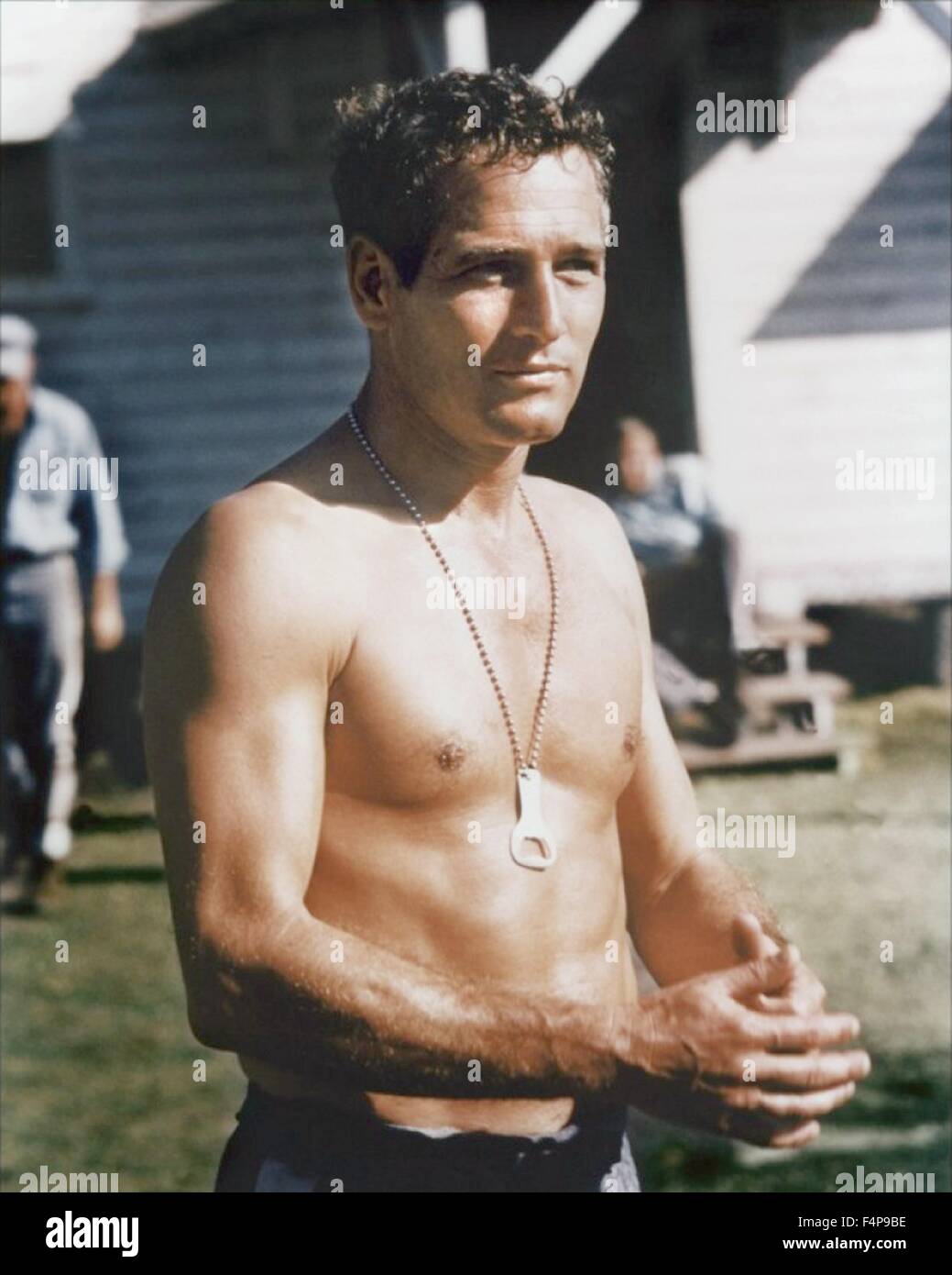 Paul Newman / Cool Hand Luke 1967 unter der Regie von Stuart Rosenberg Stockfoto