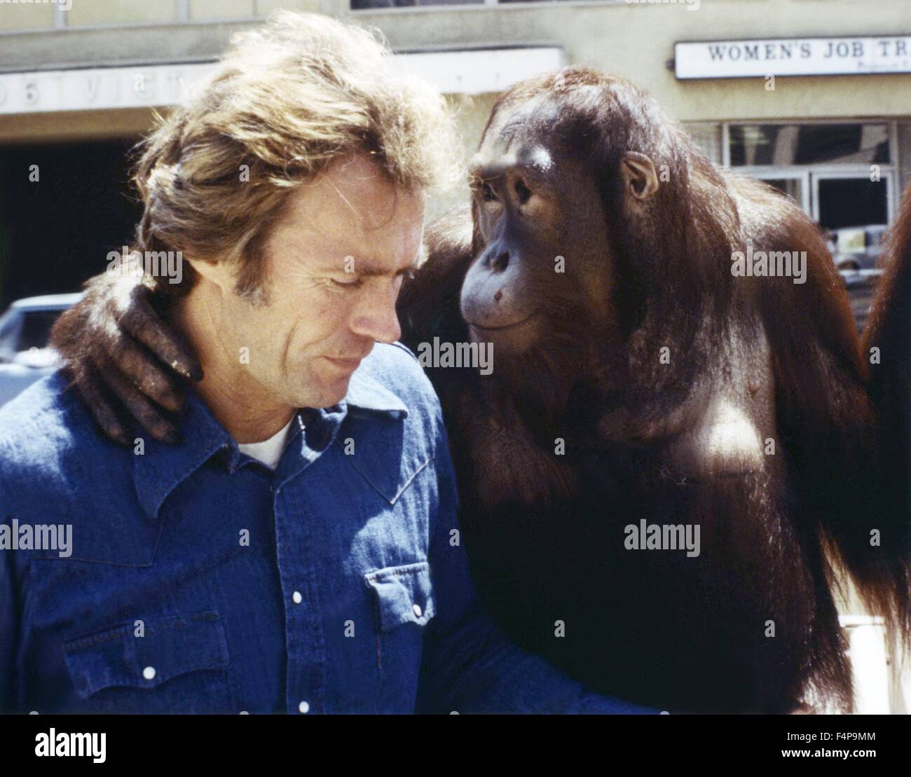 Clint Eastwood, Clyde / Every Which Way aber locker 1978 unter der