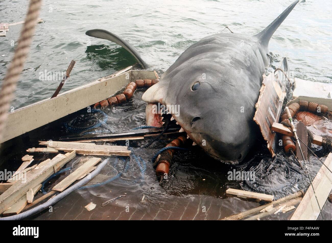 Der weiße Hai 1975 unter der Regie von Steven Spielberg Stockfoto