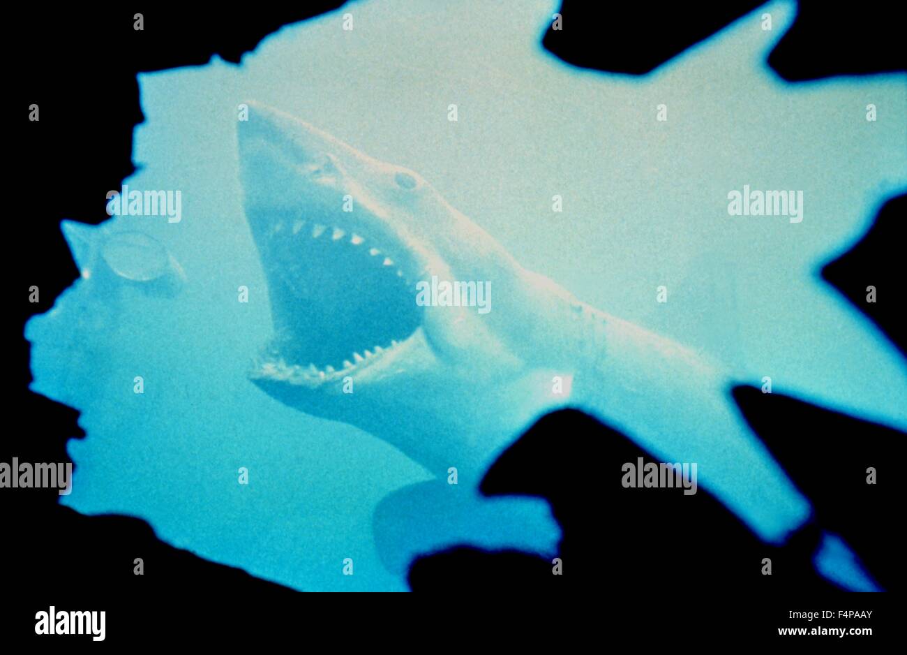 Der weiße Hai 1975 unter der Regie von Steven Spielberg Stockfoto