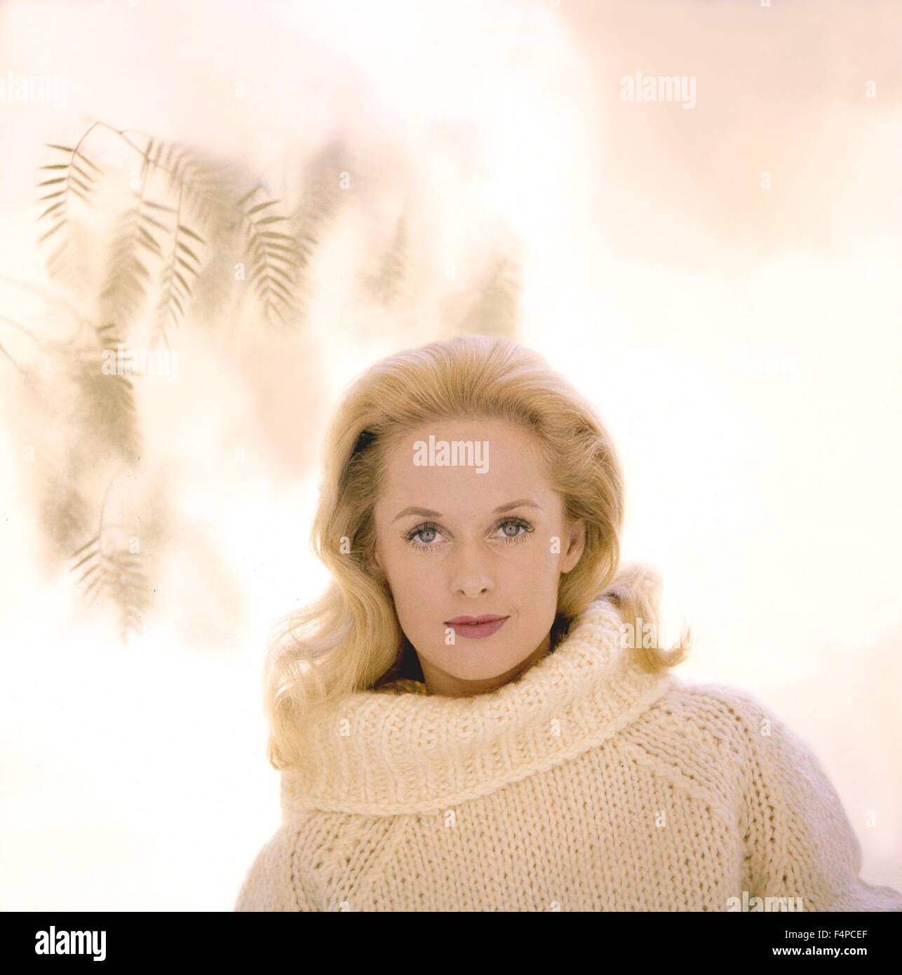 Tippi Hedren / die Vögel 1963 unter der Regie von Alfred Hitchcock Stockfoto