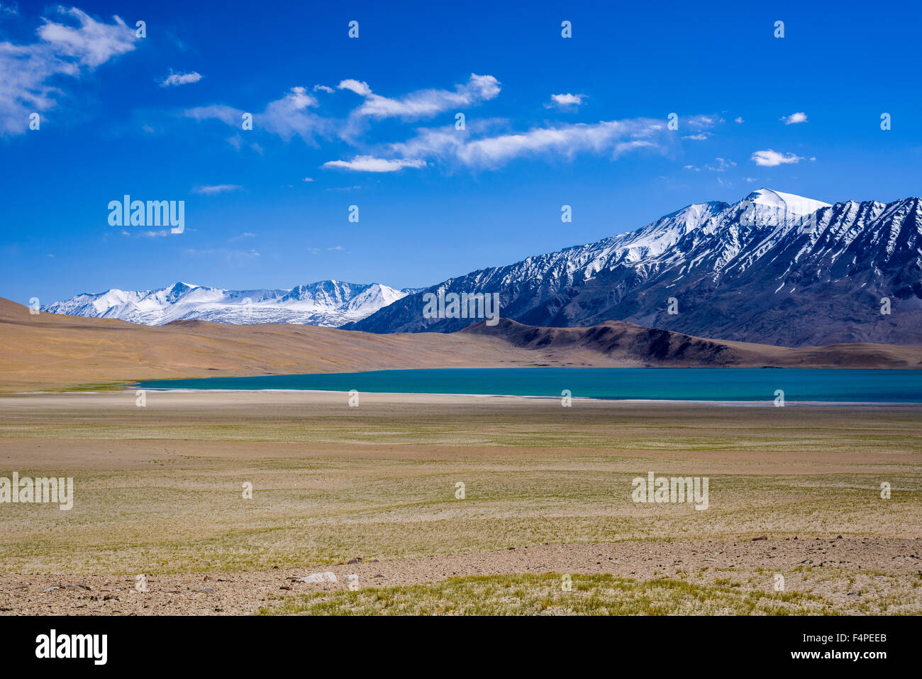 Karge Landschaft mit einem blauen See und den schneebedeckten Bergen im Bereich changtang Stockfoto