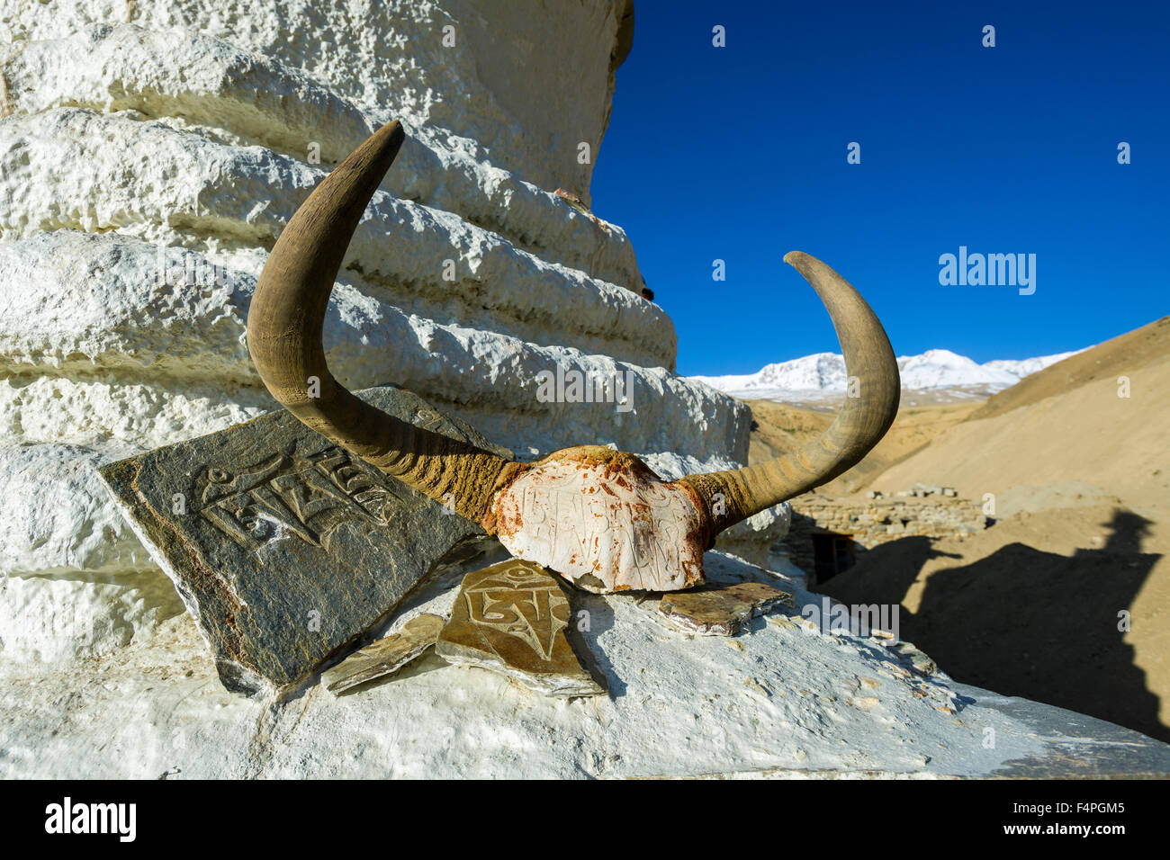 Ein yak Schädel mit dem Mantra "Om Mani Padme Hum" graviert und Mani Steine sind Verzierung einer Stupa in Tso moriri in changtang, Stockfoto