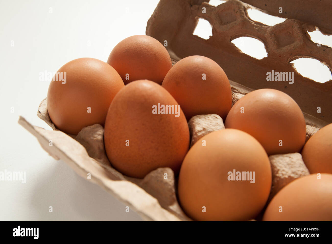 Frische Freilandeier in Recycling-Papier-Karton. Stockfoto