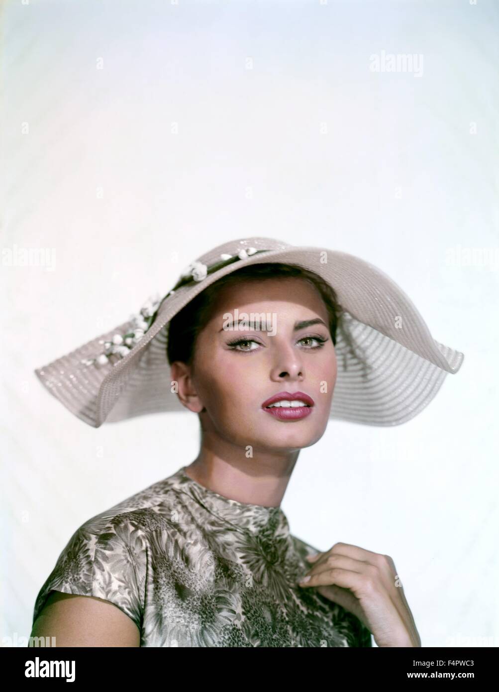 Sophia Loren 1958 [Columbia Pictures] Stockfoto