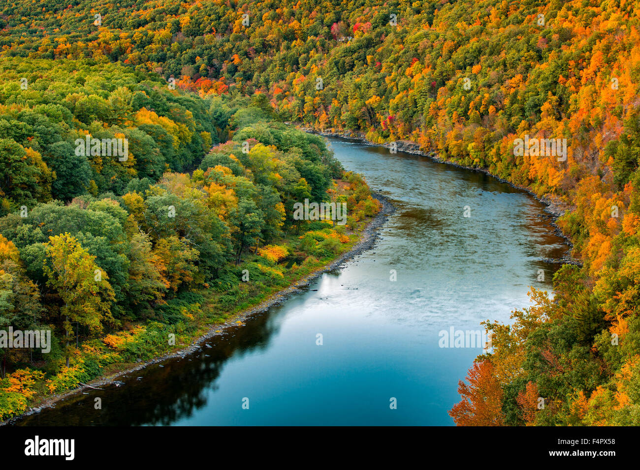 Delaware River beugt sich über einen bunten Herbstwald, in der Nähe von Port Jervis, New York Stockfoto