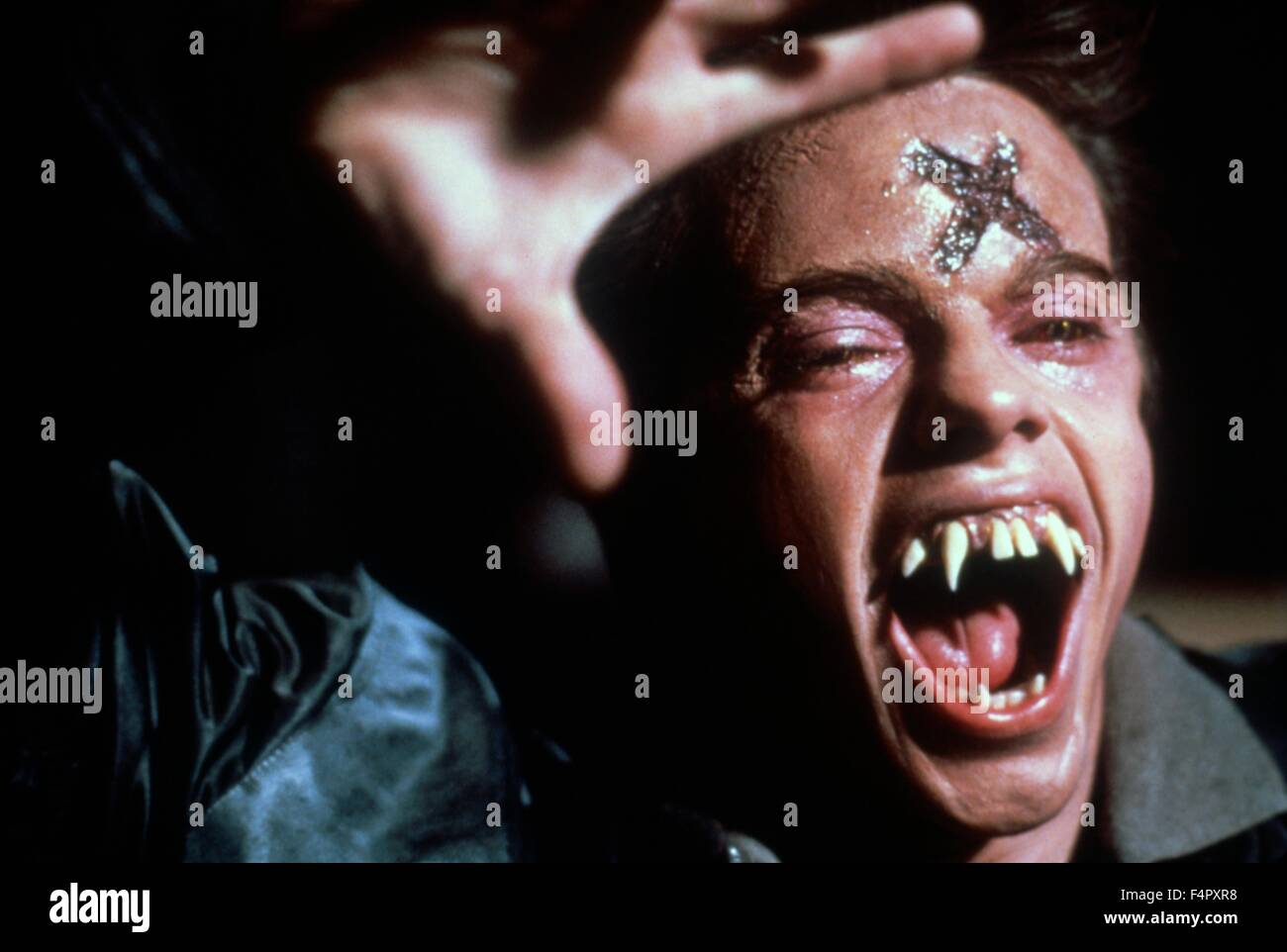 Stephen Geoffreys / Fright Night / 1985 / unter der Regie von Tom Holland / [Columbia Pictures] Stockfoto