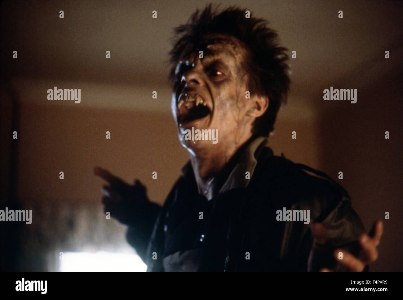 Stephen Geoffreys / Fright Night /1985 / Regie: Tom Holland / [Columbia Pictures] Stockfoto
