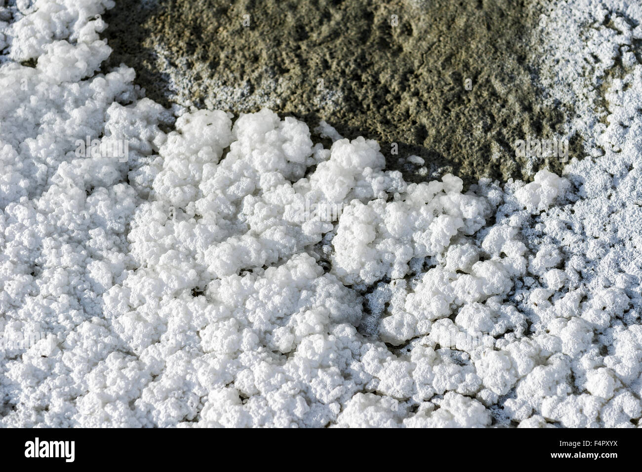 Salzkristalle in verschiedenen Formen sind bei Tso kar gefunden, eine schwankende Salt See, auf einer Höhe von 4.530 m über dem Meeresspiegel lev entfernt Stockfoto