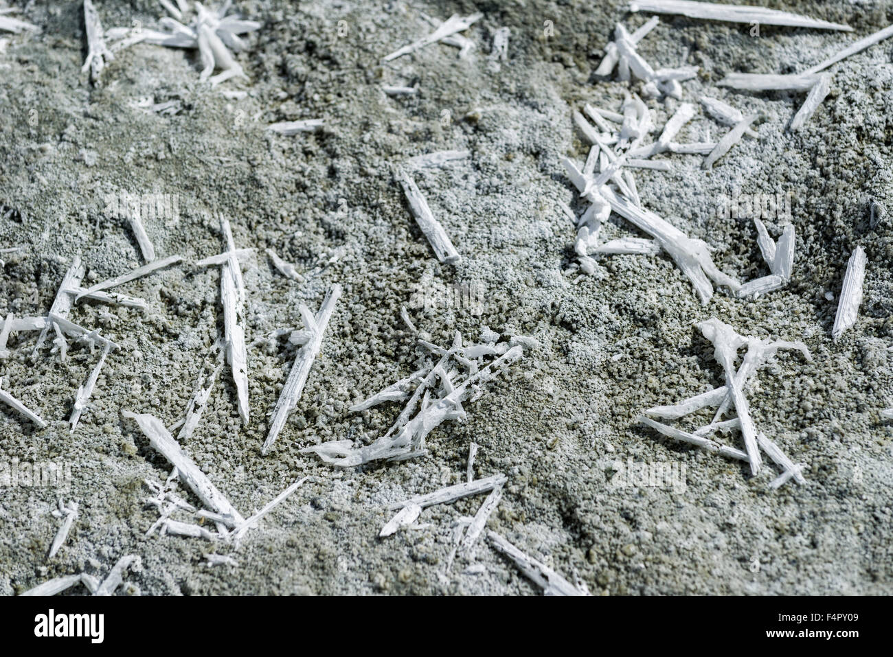 Salzkristalle in verschiedenen Formen sind bei Tso kar gefunden, eine schwankende Salt See, auf einer Höhe von 4.530 m über dem Meeresspiegel lev entfernt Stockfoto