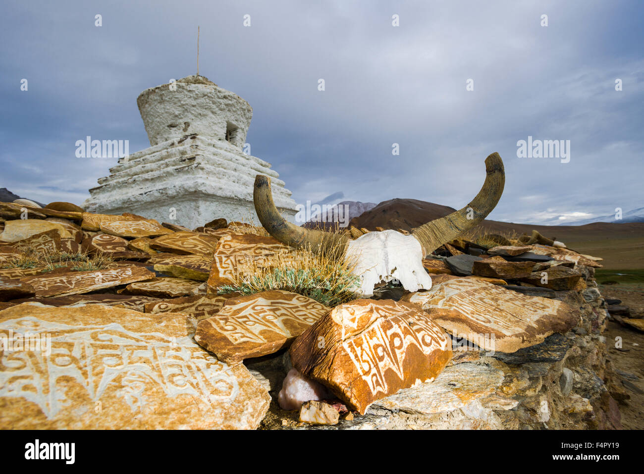 Ein yak Schädel mit dem Mantra "Om Mani Padme Hum" graviert und Mani Steine sind Verzierung einer Stupa in Tso kar, eine schwankende Salz l Stockfoto