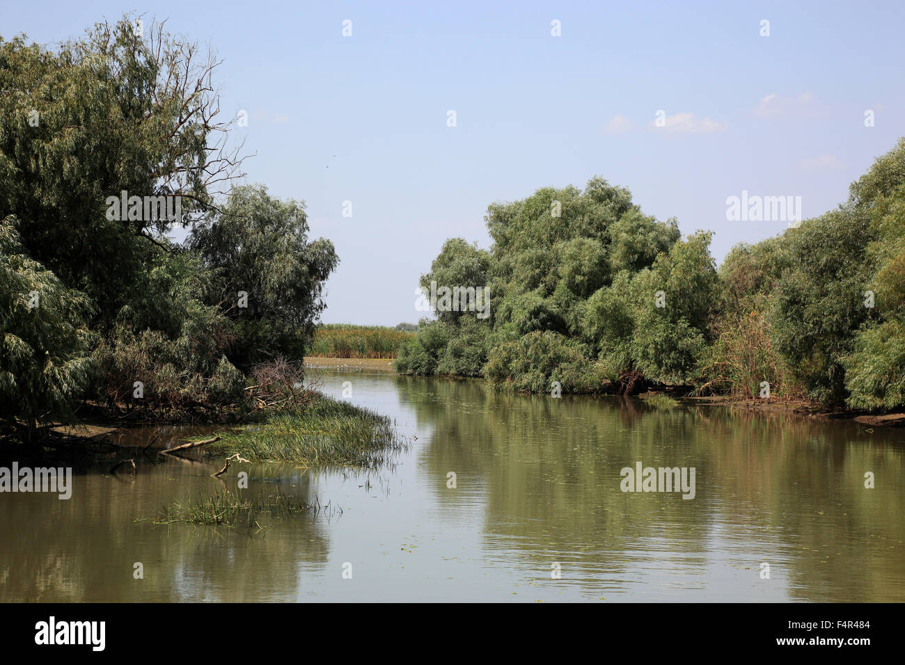 Donau-Delta Biosphären-Reservat, in der Nähe von Tulcea, Rumänien Stockfoto