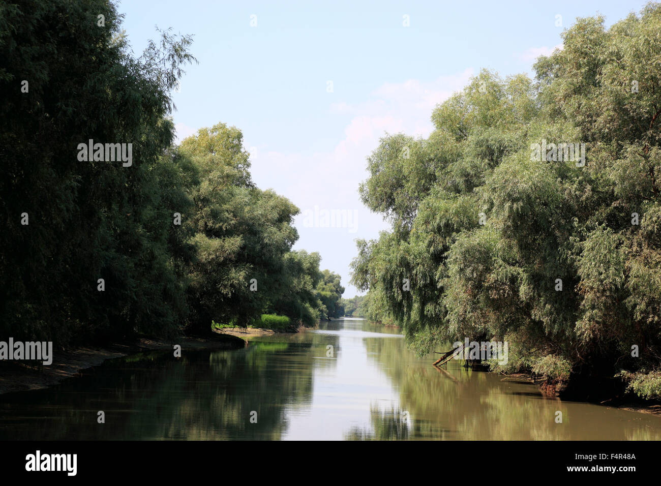Donau-Delta Biosphären-Reservat, in der Nähe von Tulcea, Rumänien Stockfoto