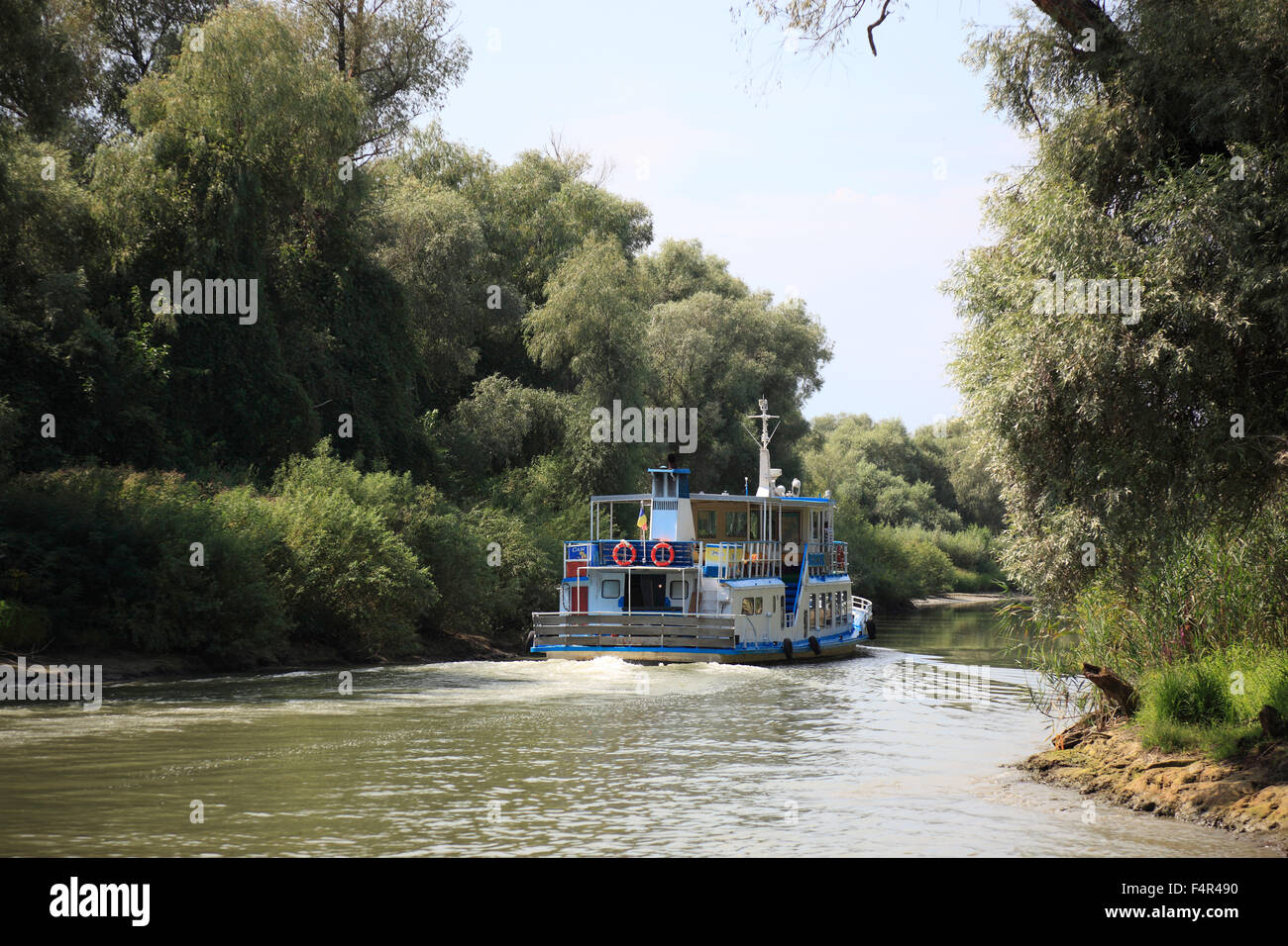 Donau-Delta Biosphären-Reservat, in der Nähe von Tulcea, Rumänien Stockfoto