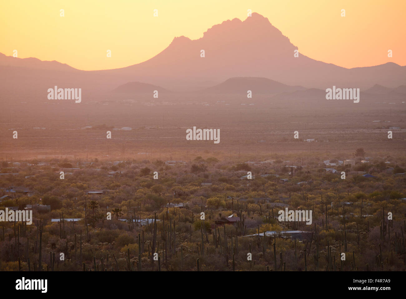 USA, USA, Amerika, Arizona, Südwesten, Saguaro National Park, Wüste, Landschaft, Kaktus, Kaktus-Wald, Sonora, Spraw Stockfoto