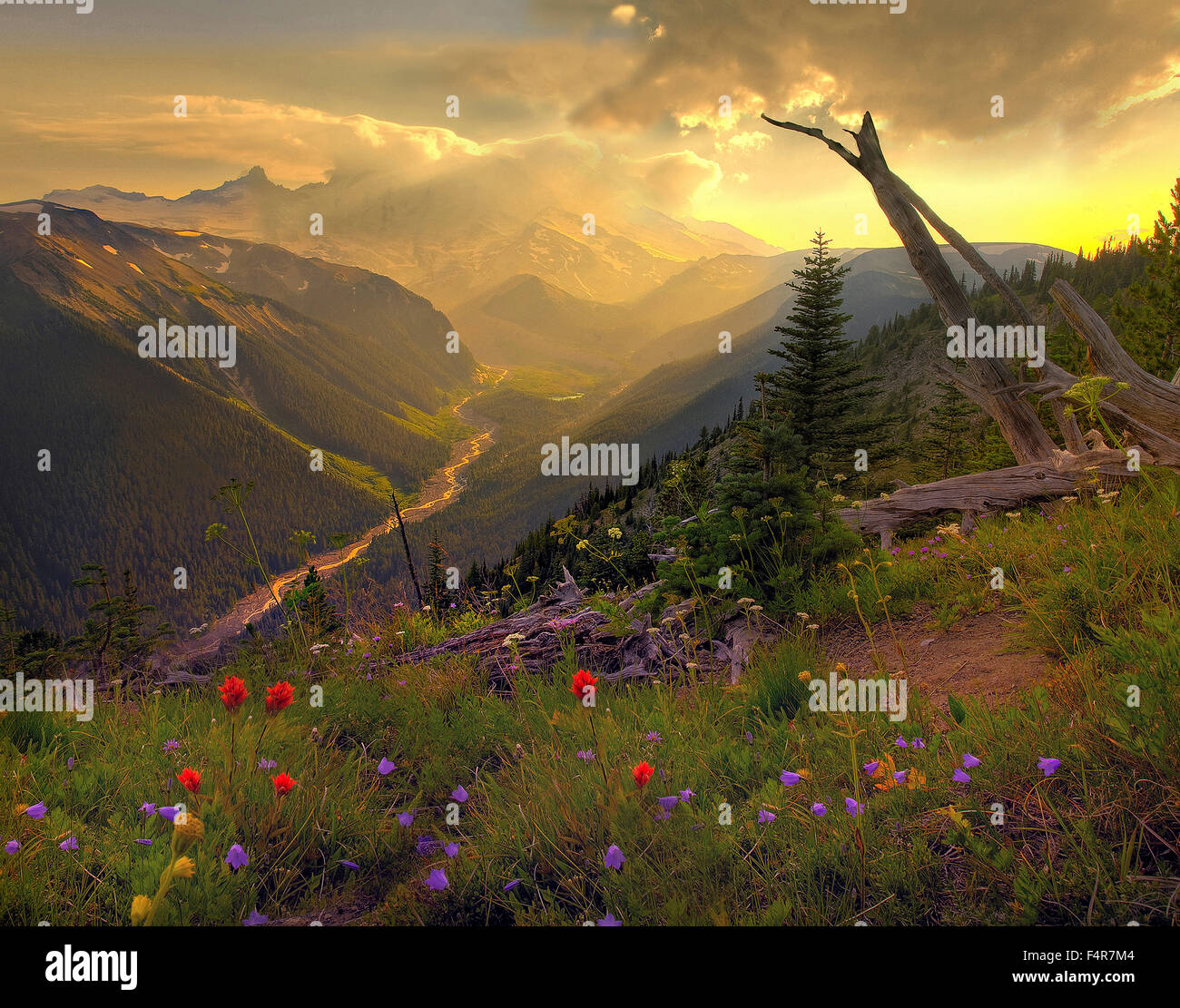 USA, USA, Amerika, Pacific Northwest, Washington, Washington State, Mount Rainier Nationalpark, vulkanische, Landschaft, Stockfoto