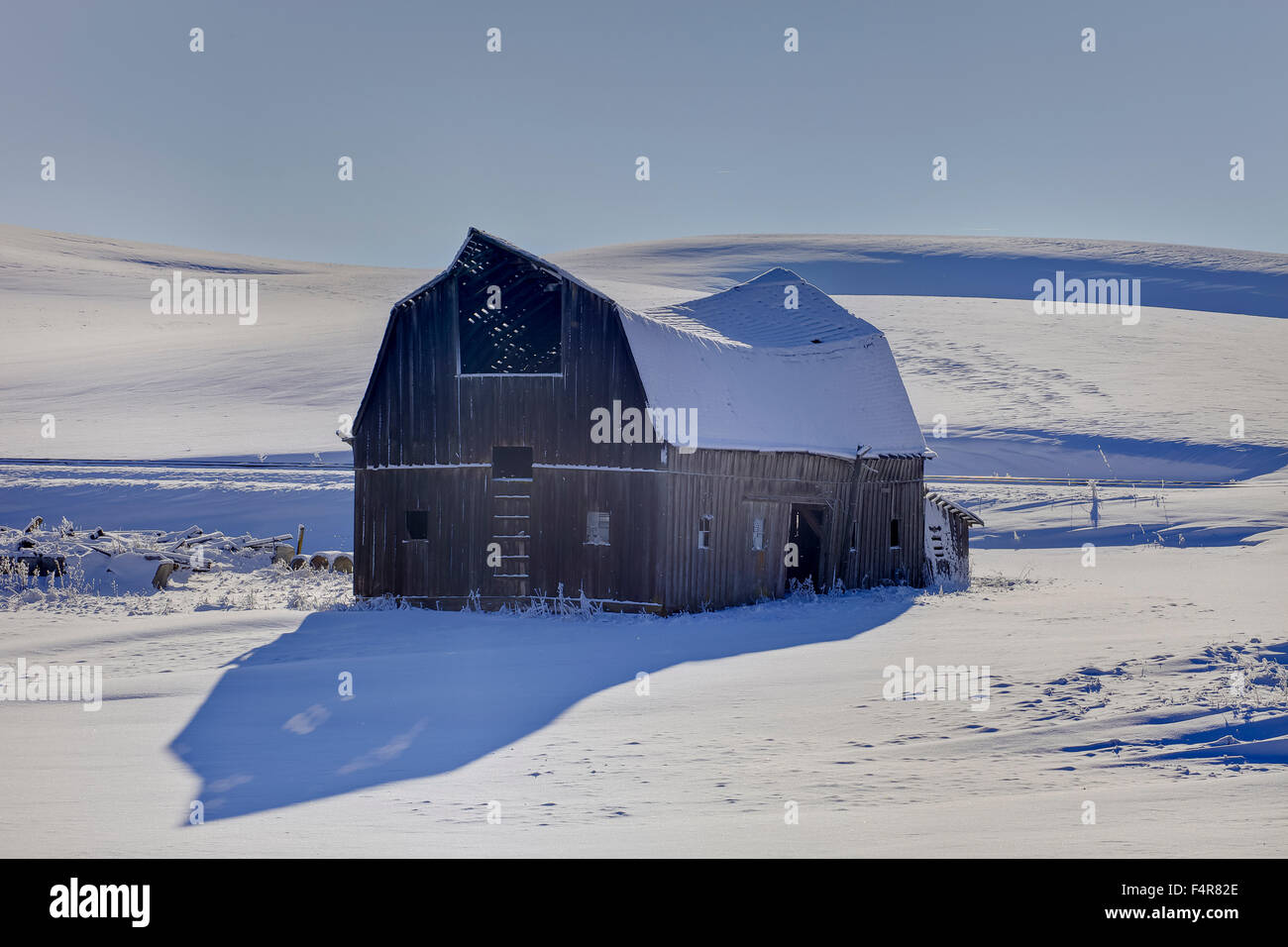 USA, USA, Amerika, Pacific Northwest, Washington, Palouse, winter, Land, Landschaft, auf dem Bauernhof Stockfoto
