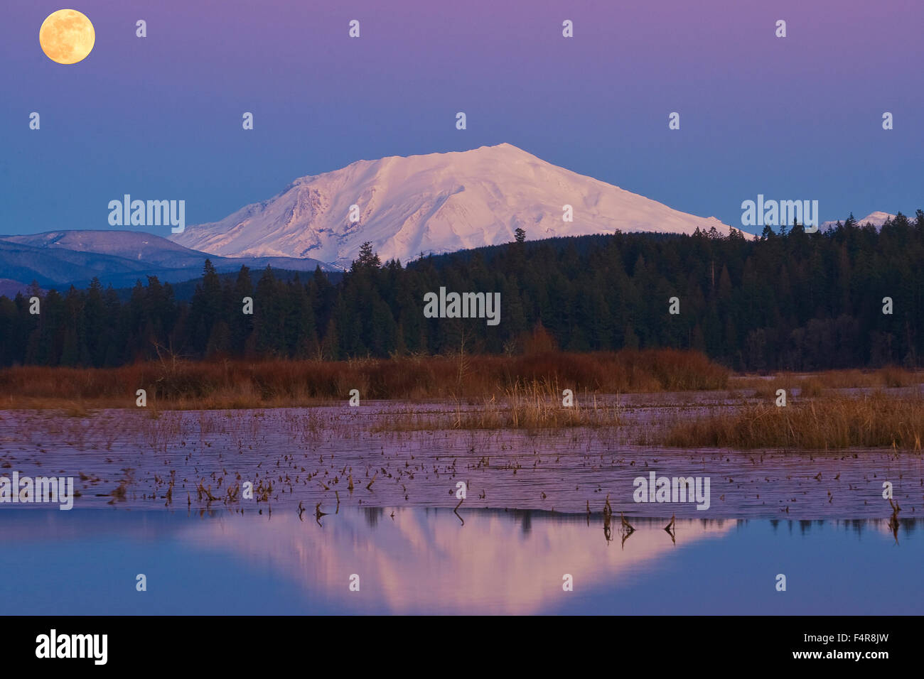 USA, USA, Amerika, Pacific Northwest, Washington, Washington State, Mount St. Helens, See, Mond, Vollmond, volcani Stockfoto