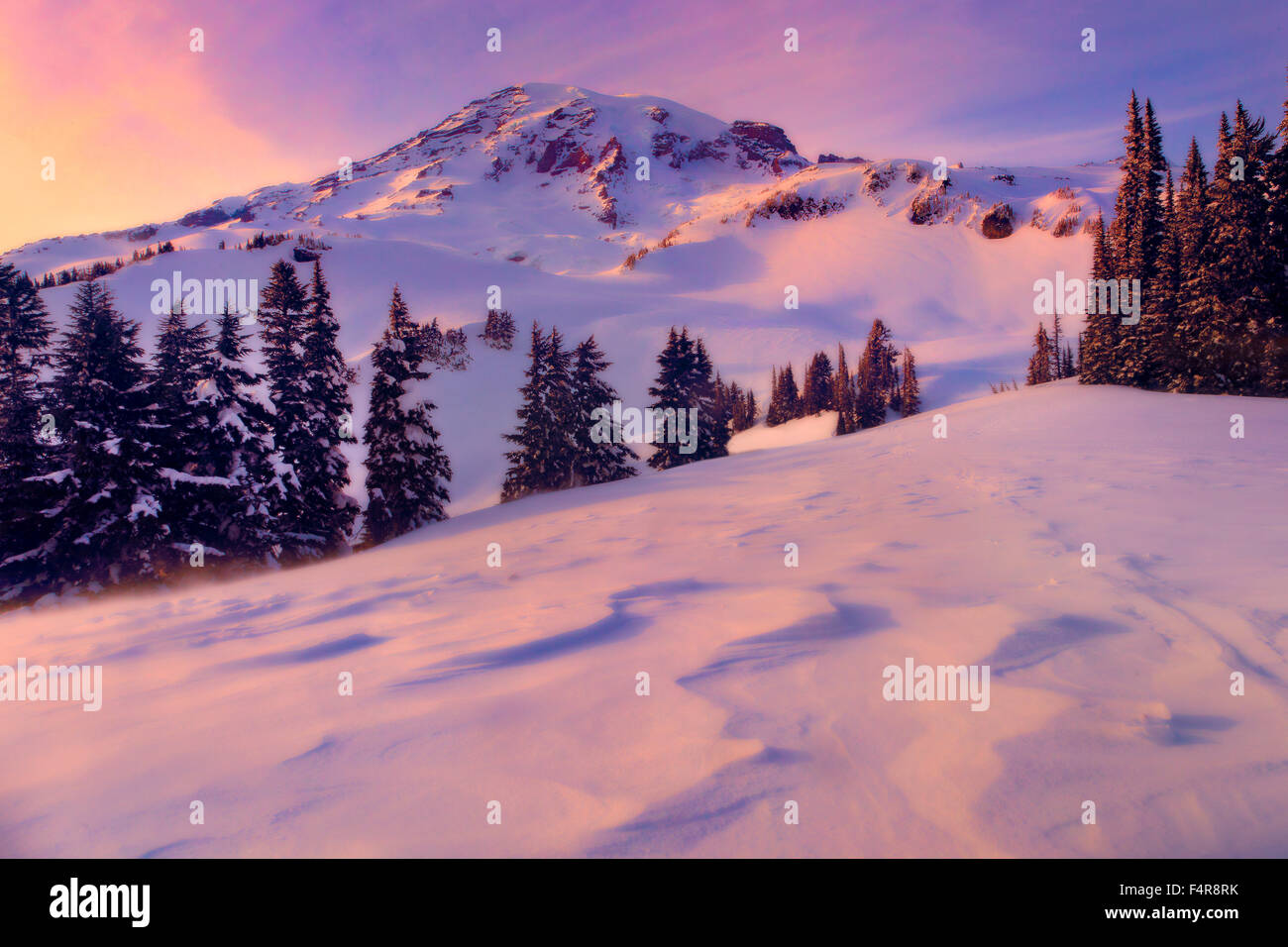 USA, USA, Amerika, Pacific Northwest, Washington, Washington State, Mount Rainier, Winter, Schnee, Sonnenuntergang Stockfoto