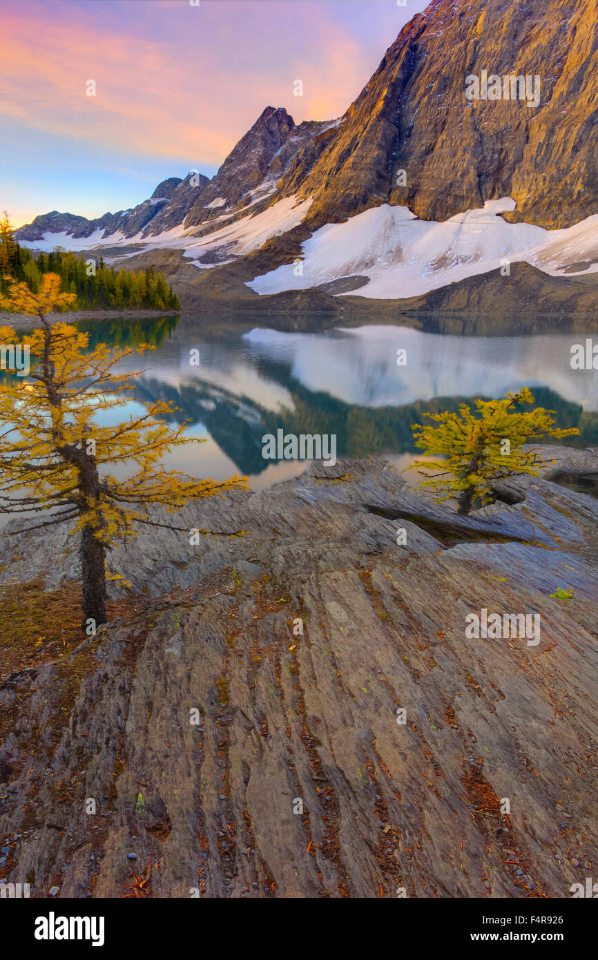 Kanada, British Columbia, Kootenay, Nationalpark, Floe See, Lärchen, Reflexion, fallen Farbe, Herbst, Schnee, Felsformation, fo Stockfoto