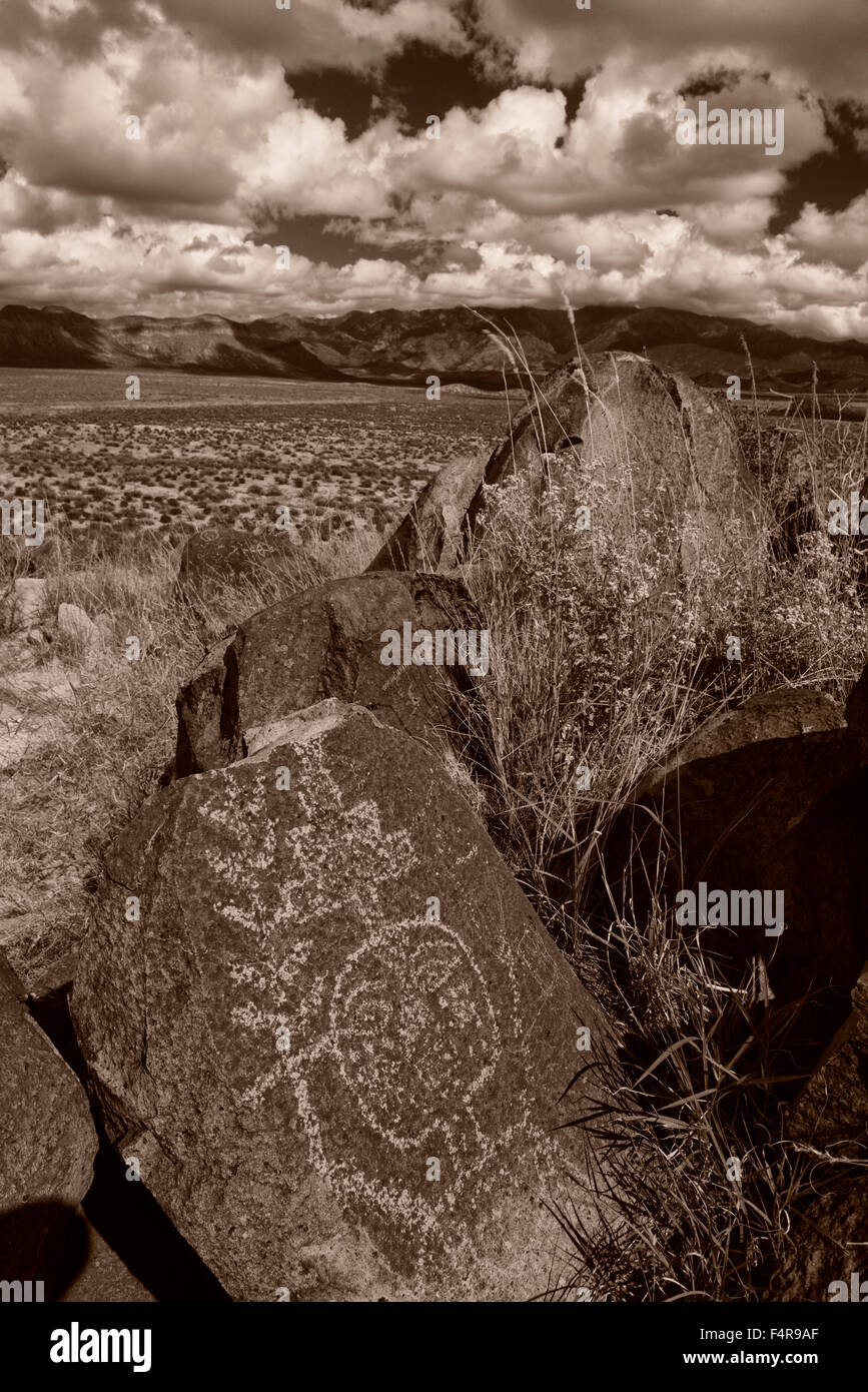 USA, USA, Amerika, Südwesten, New Mexico, Otero County, drei Flüsse Petroglyph Site, Felszeichnungen, Petroglyph, antike, n Stockfoto