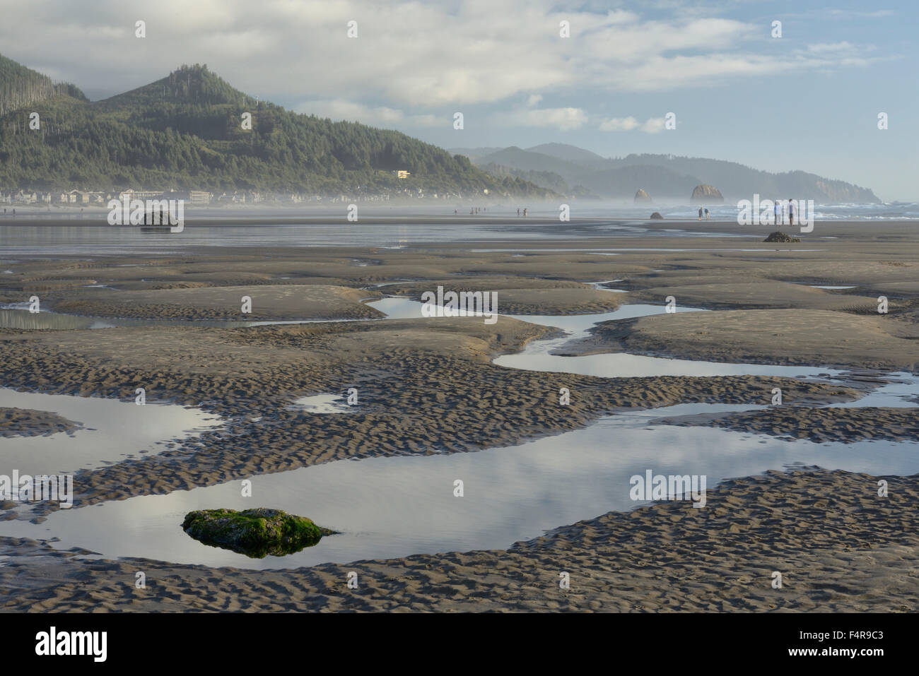 USA, USA, Amerika, West Coast, Oregon, Cannon Beach, Küste, Gezeiten, Landschaft, Strand, Leute, Küste, Stadt, Pfütze, co Stockfoto