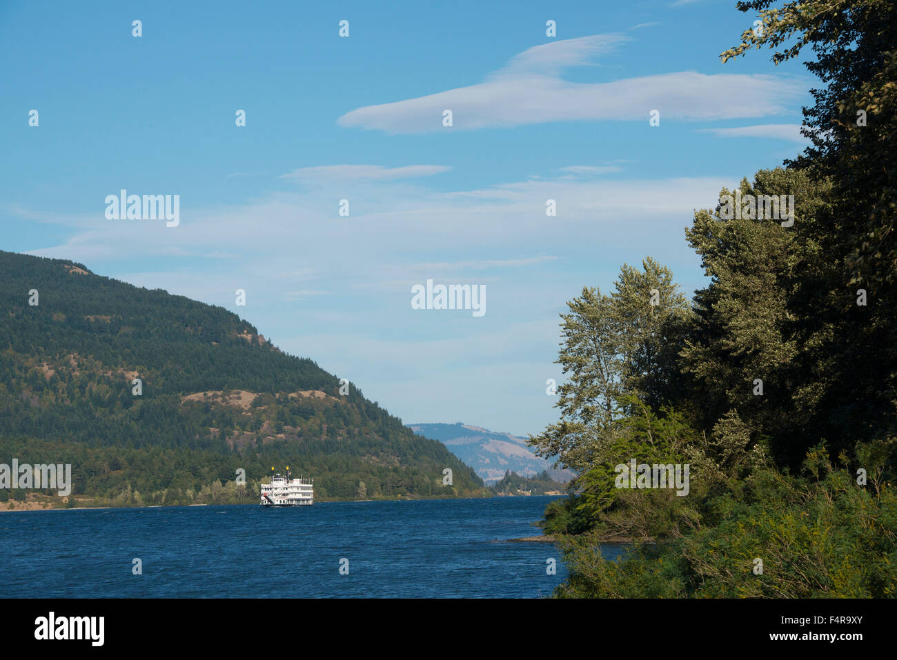 USA, USA, Amerika, Oregon, Columbia River Gorge, Paddle Wheeler, Schiff, Boot, Stream, landschaftlich reizvollen Gegend, Reisen, Landschaft, Stockfoto