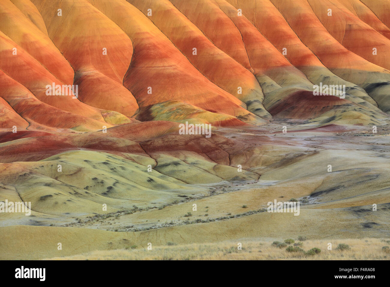 USA, USA, Amerika, Oregon, Eastern, John Day, Fossil Beds, Nationaldenkmal, Painted Hills, Landschaft Stockfoto