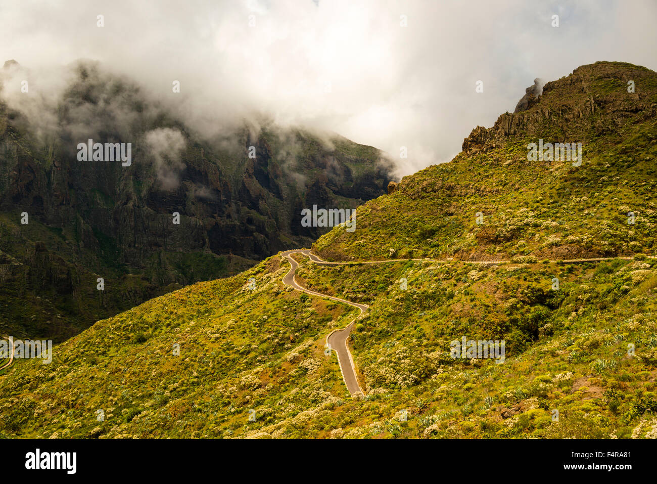 Außen, Berg, Gebirge, Landschaft, Europa, Berge Hilda, Kanaren, Kanarische Inseln, Kurven, Masca, nationale Stockfoto