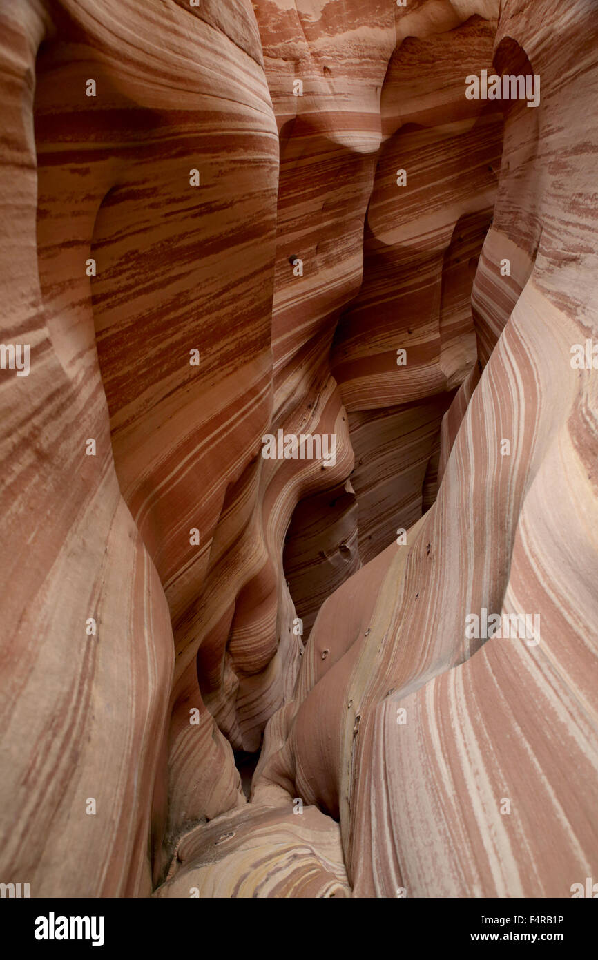 Zebra Slot Canyon Grand Staircase Escalante Nationalmonument Stockfoto