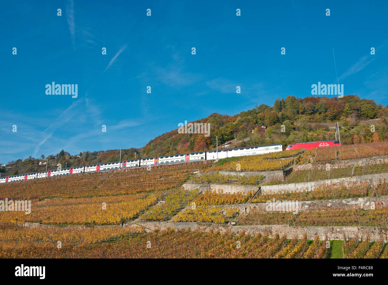 Schweiz, Weltkulturerbe, kulturelles Erbe, Weinbau, Weinberge, Wein, Verkehr, Eisenbahn, Zug, Feature, Herbst, Stockfoto