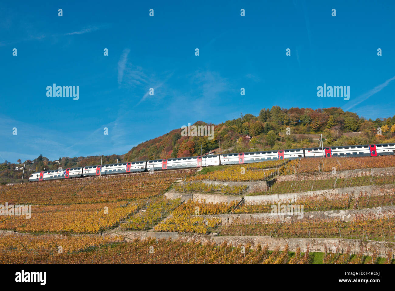 Schweiz, Weltkulturerbe, kulturelles Erbe, Weinbau, Weinberge, Wein, Verkehr, Eisenbahn, Zug, Feature, Herbst, Stockfoto