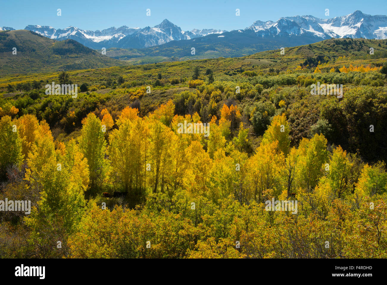 USA, USA, Amerika, Colorado, San Juan Berge, Gipfel, Laub, Herbst, Farbe, rot, Palette, Berg, Landschaft, Natur, Stockfoto