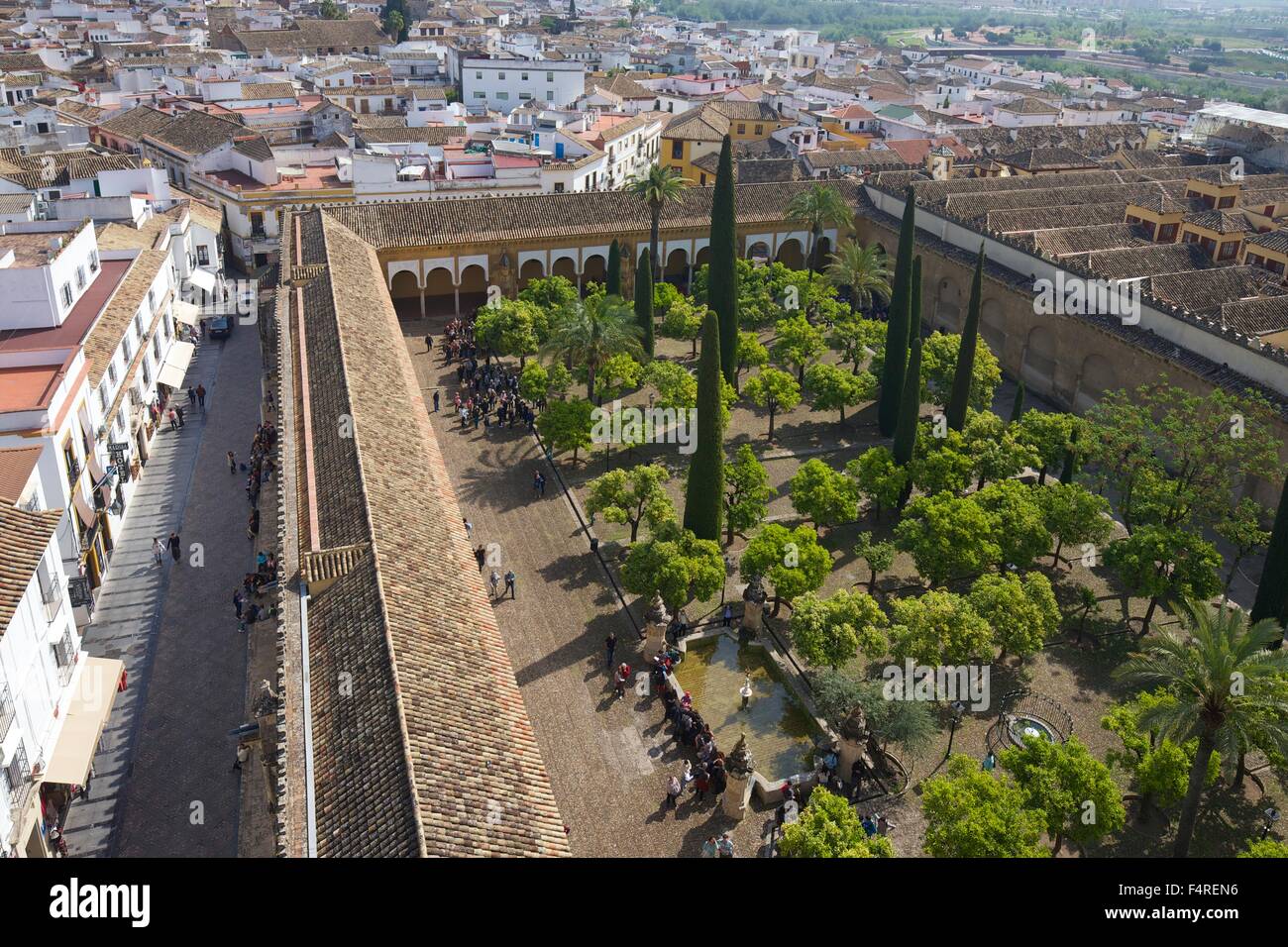 Patio de Los Naranjos, Orangenbaum-Garten, vom Glockenturm, Mezquita, Córdoba, Andalusien, Spanien Stockfoto