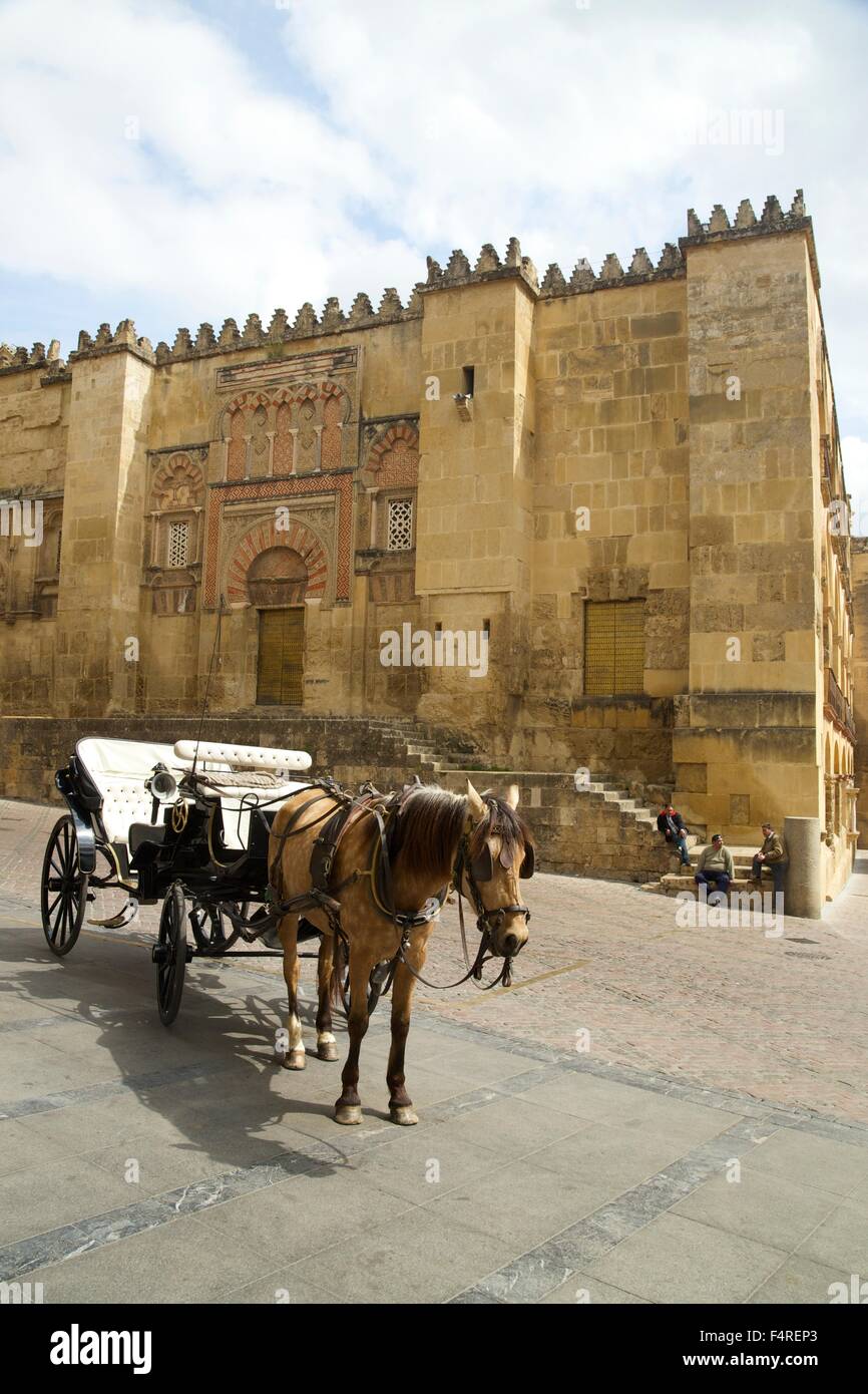 Pferdekutsche außerhalb Mesquita, Córdoba, Andalusien, Spanien, Europa Stockfoto