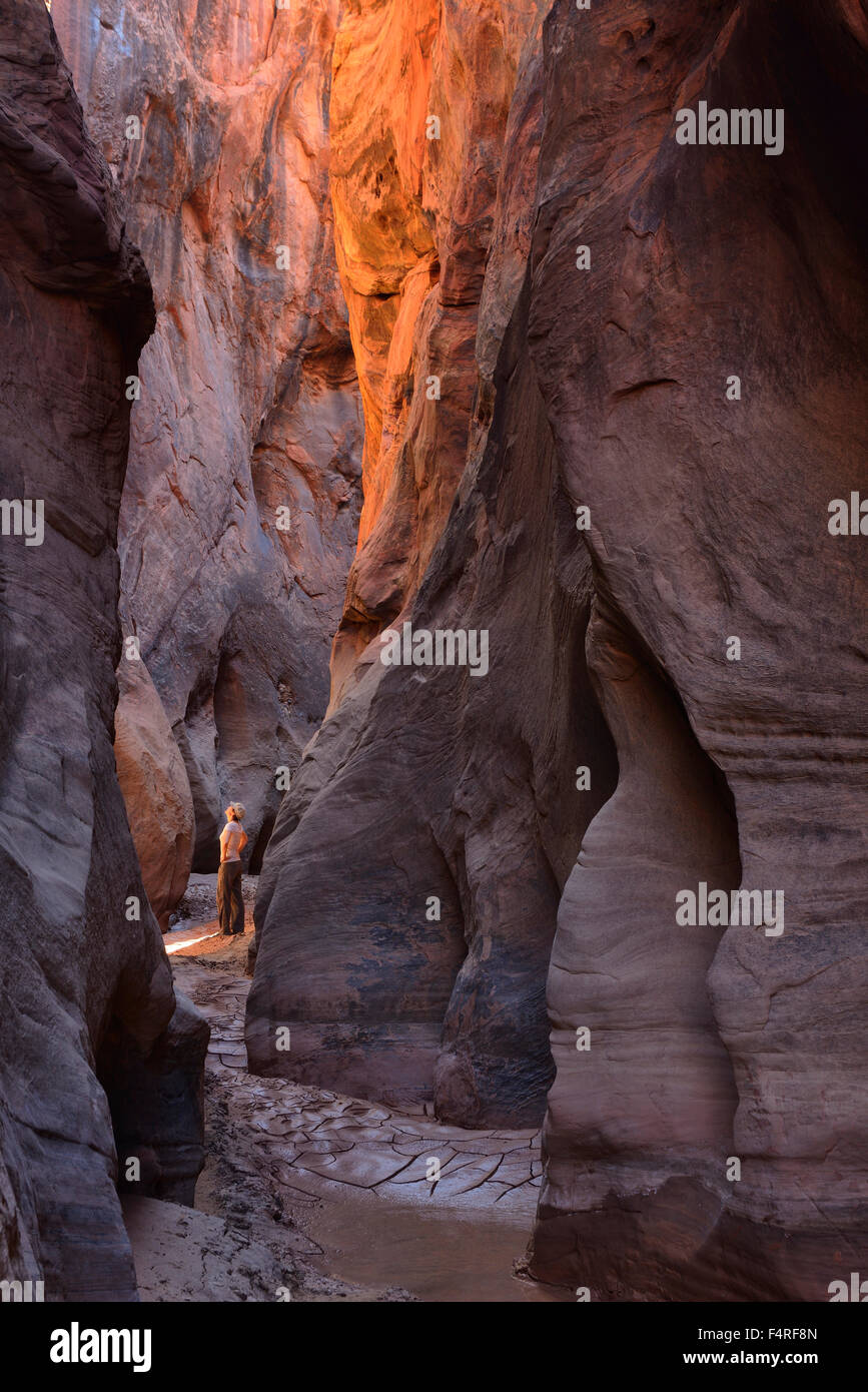 USA, Utah, Colorado Plateau, Grand Treppe Escvalante National Monument, Frau Wandern in Buckskin Gulch Slotcanyon, Modell re Stockfoto