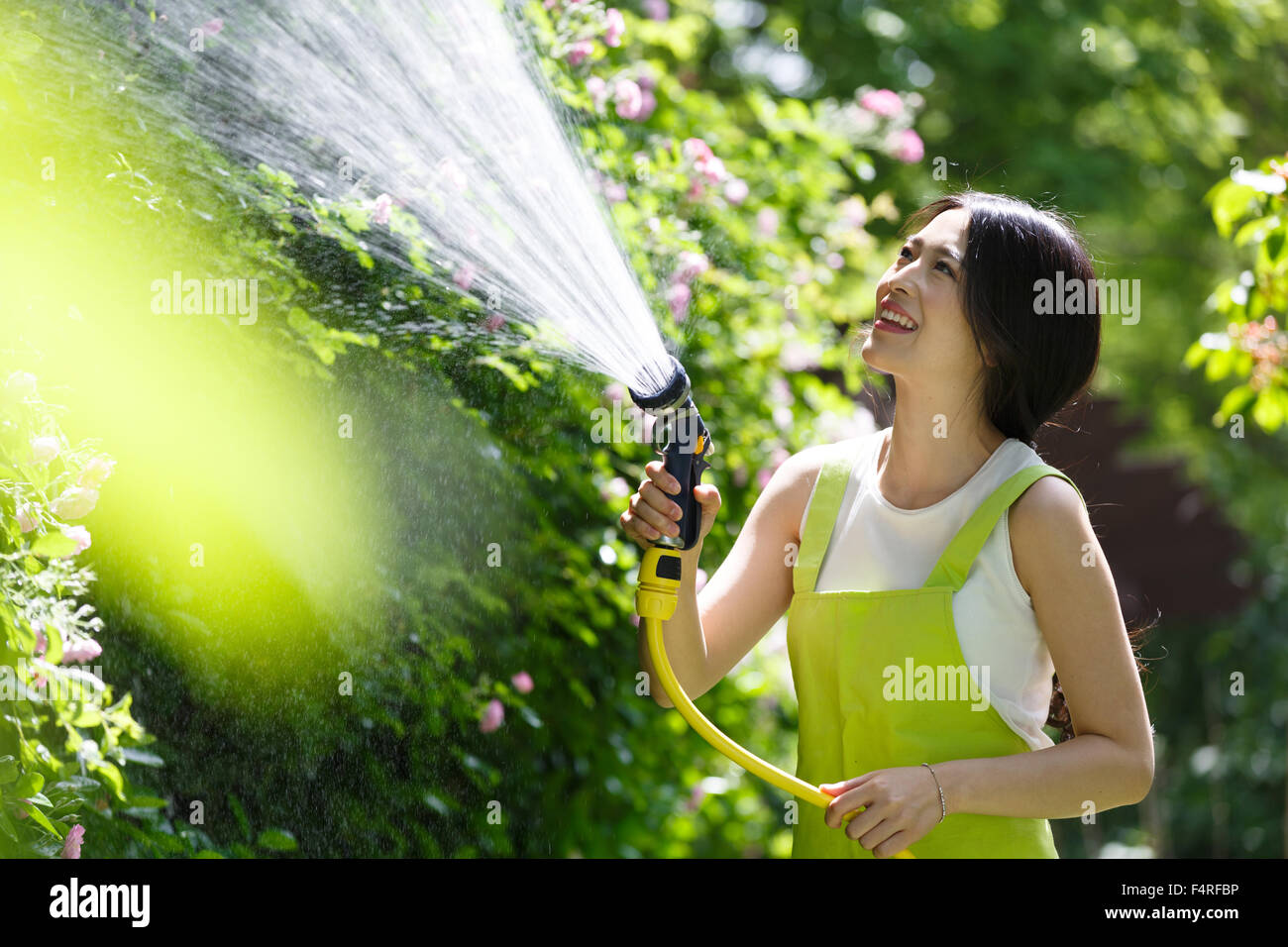 Frauen im Garten Bewässerung des Gartens Stockfoto