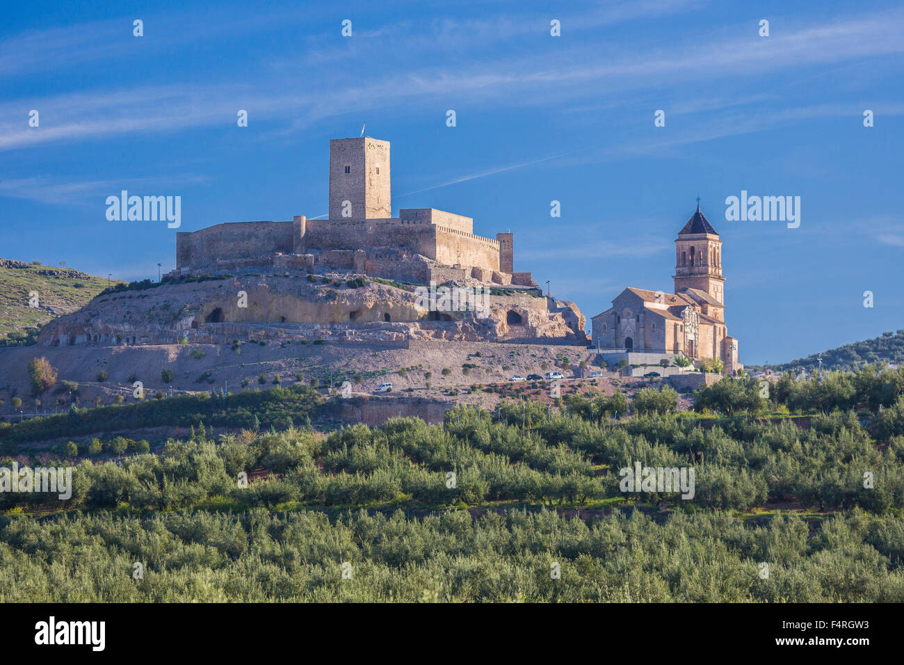 Alcaudete, Stadt, Andalusien, Jaen, Landschaft, Spanien, Europa, Frühling, Architektur, Schloss, Kirche, Kirche, Oliven, bunte, keine p Stockfoto