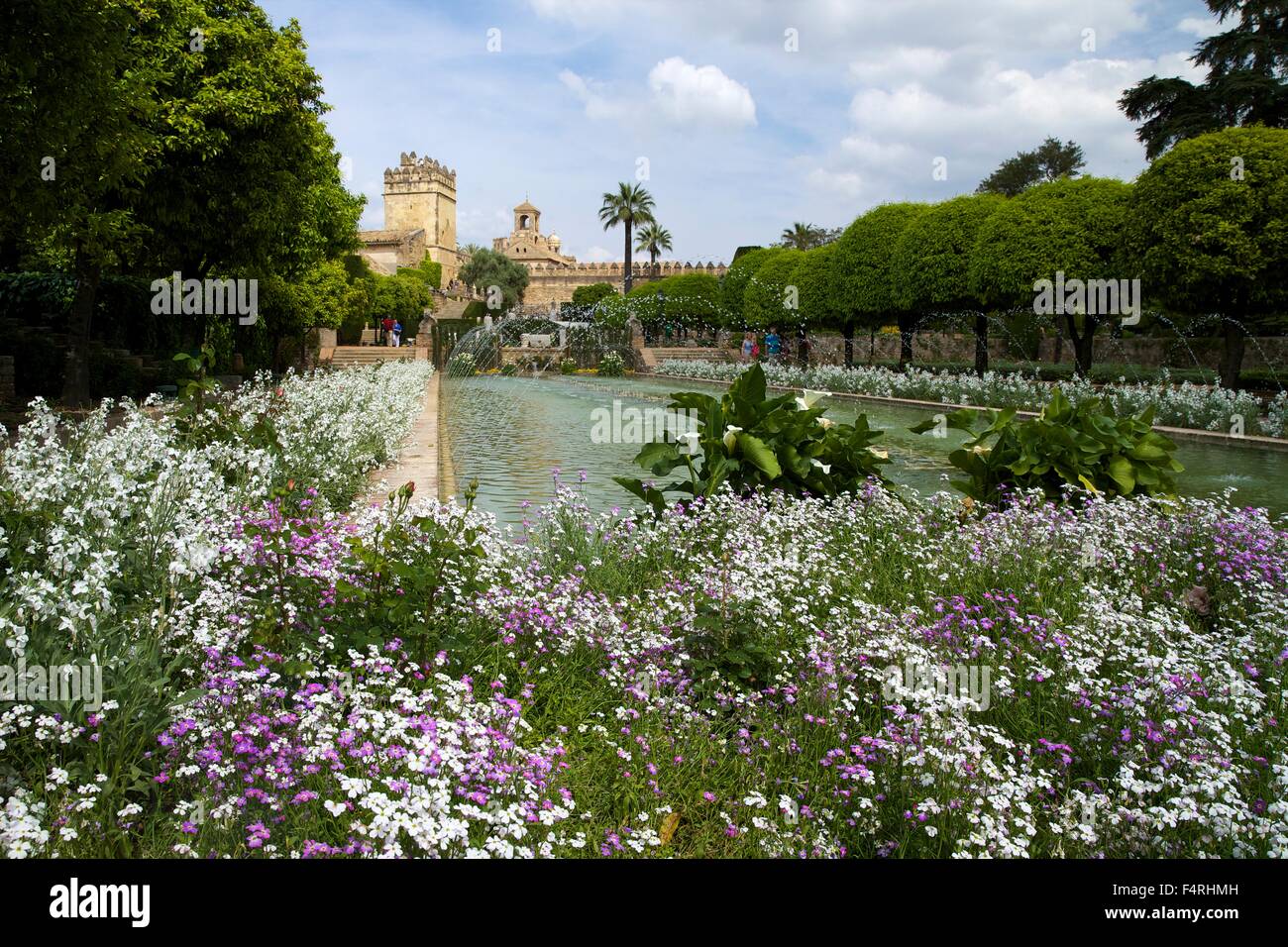 Gärten in Alcazar, Córdoba, Andalusien, Spanien, Europa Stockfoto