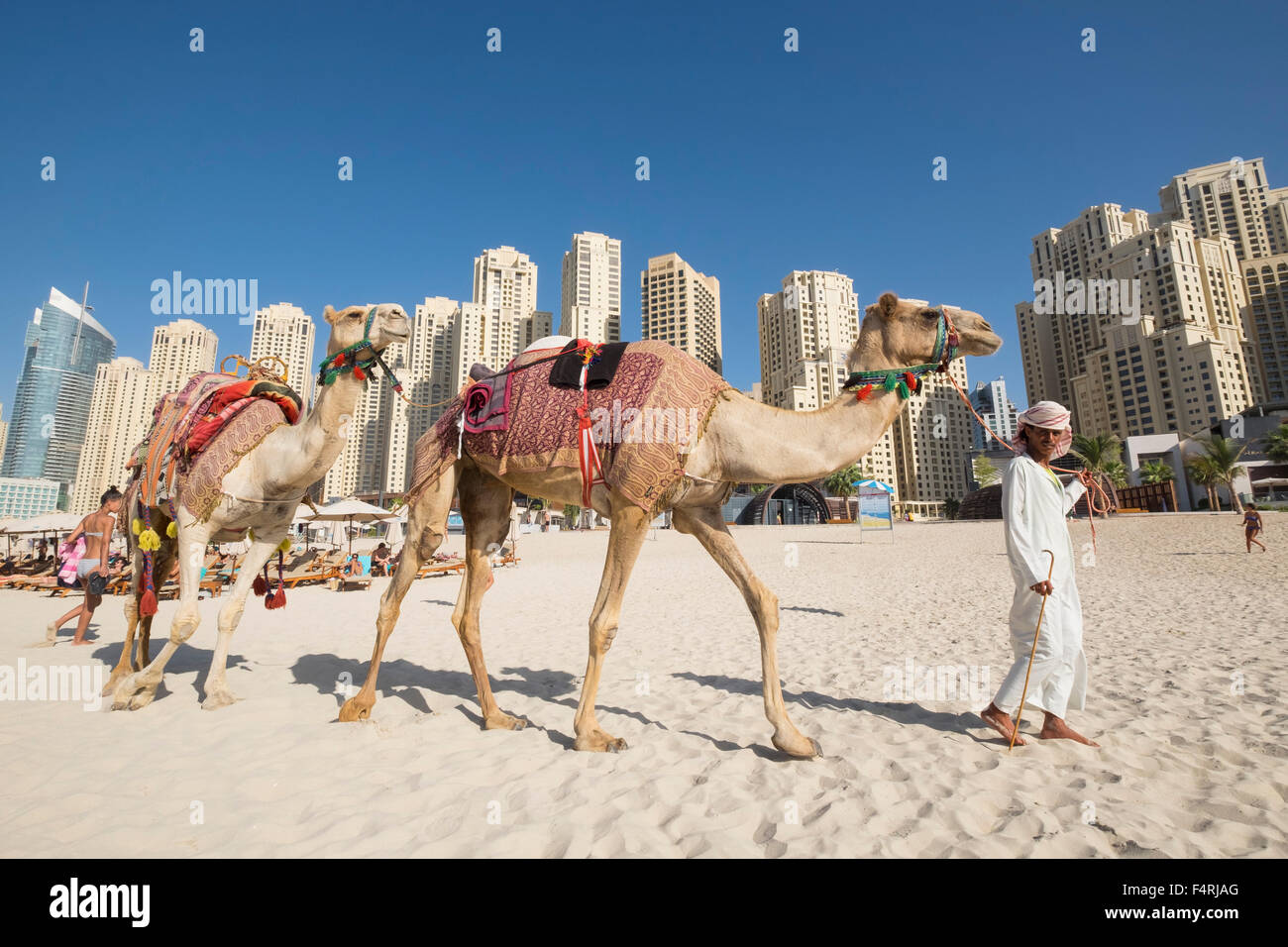 Touristischen Kamele am Strand im JBR Jumeirah Beach Residences im Marina District von Dubai Vereinigte Arabische Emirate Stockfoto