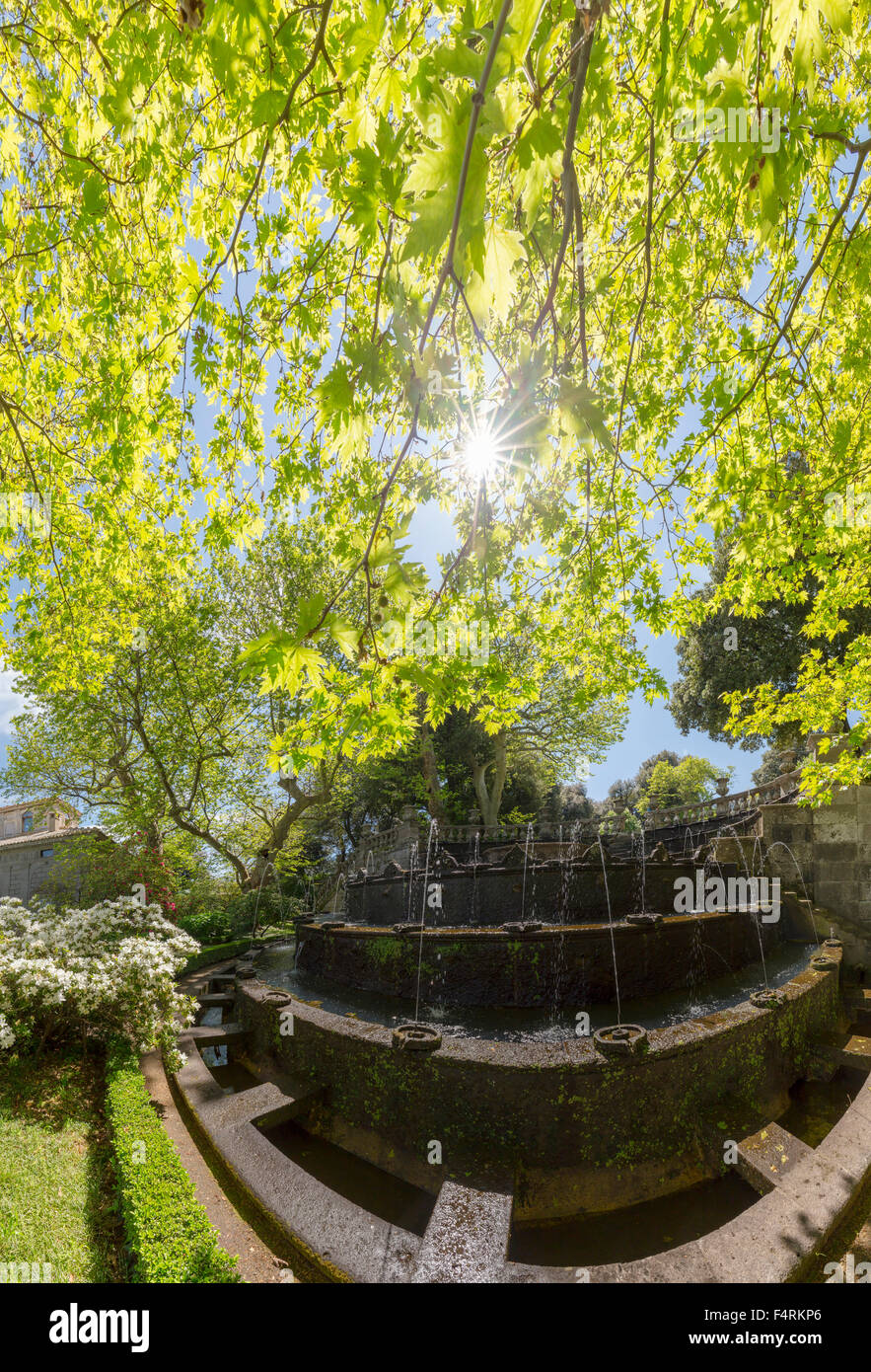 Italien, Europa, Lazio, Bagnaia, Burg, Wald, Holz, Bäume, Frühling ... Italien, Europa, Lazio, Bagnaia, Burg, Wald, Holz, Bäume, Frühling ...