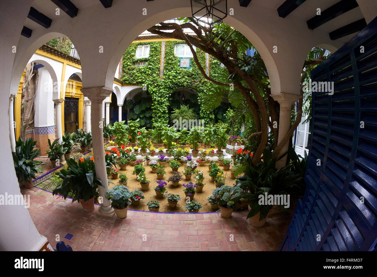 Hofgarten, Sevilla, Andalusien, Spanien, Europa Stockfoto