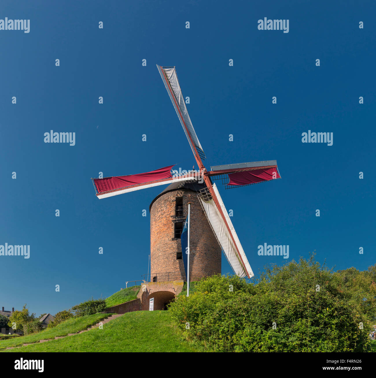 Niederlande, Europa, Holland, Zeddam, Gelderland, Windmühle, Sommer, Stockfoto