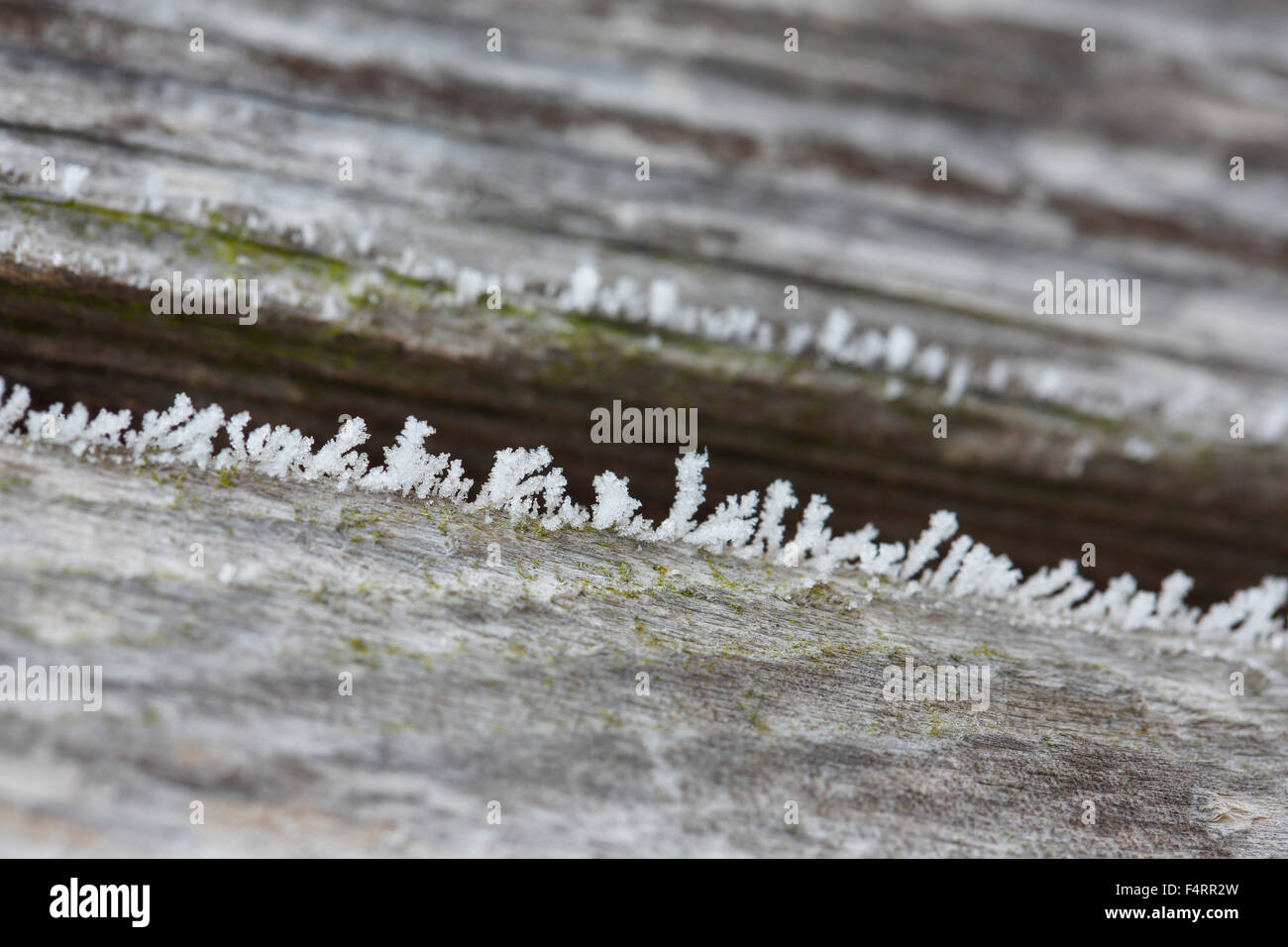 Board, Regal, Detail, Eis, Eisblumen, Frost, Hintergrund, Holz, Holzbrett, Kälte, Makro, Muster, Nahaufnahme, Raureif, Pfingstmontag Stockfoto