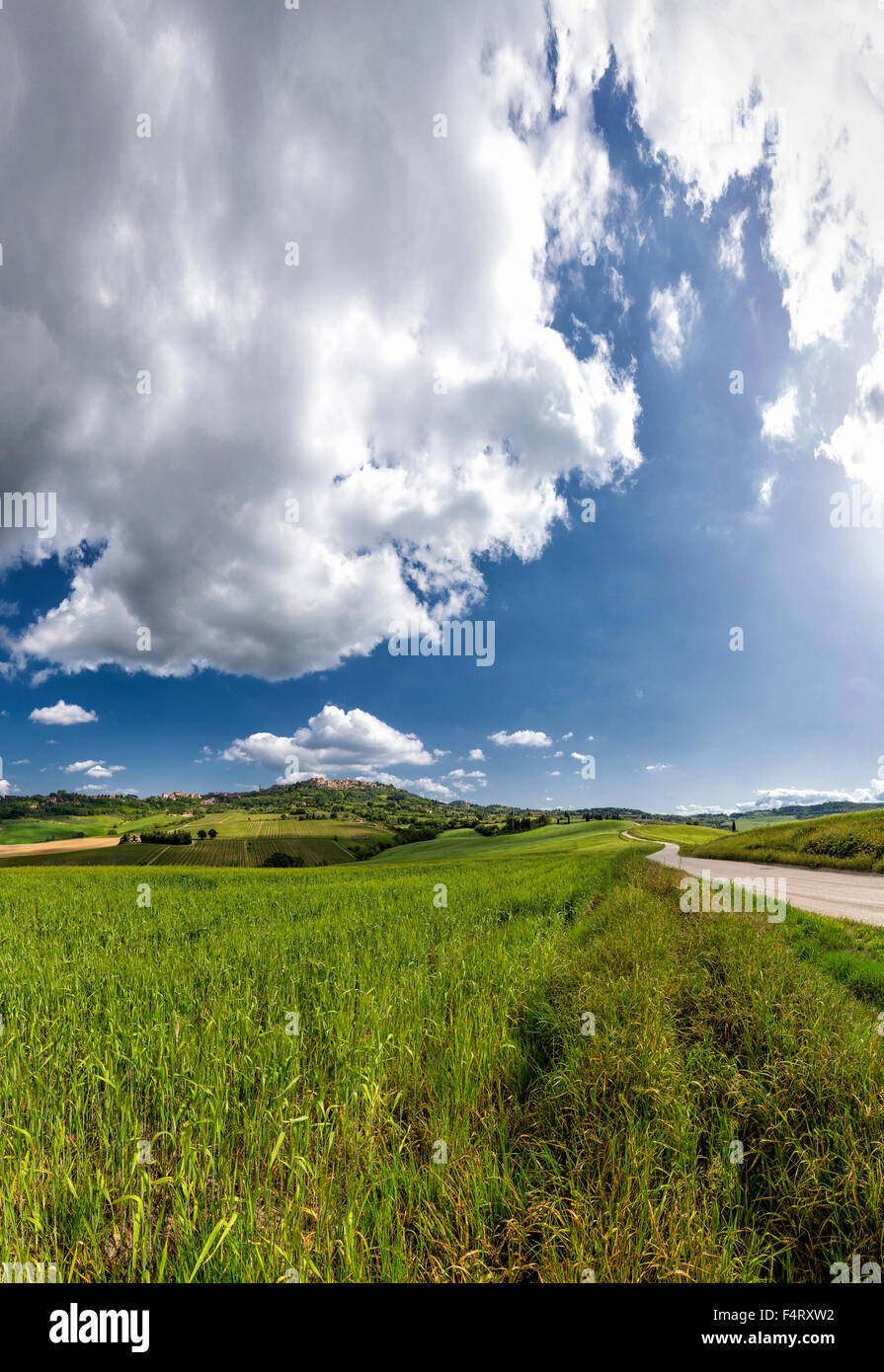 Italien, Europa, Montepulciano, Toscane, Dorf, Berg, Landschaft, Feld, Wiese, Frühling, Bergen, Hügeln, Wolken, Stockfoto