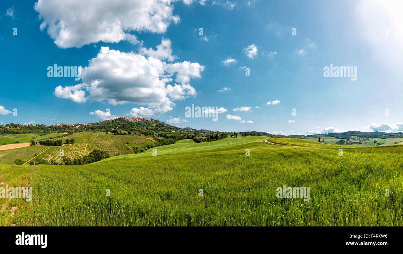 Italien, Europa, Montepulciano, Toscane, Dorf, Berg, Landschaft, Feld, Wiese, Frühling, Bergen, Hügeln, Wolken, Stockfoto
