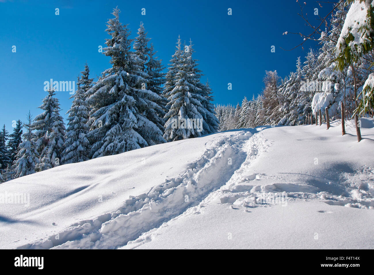 winterliche Stimmung mit mit viel Schnee und kalten Temperaturen in der Teisenberg bei der Gemeinde Teisendorf Stockfoto