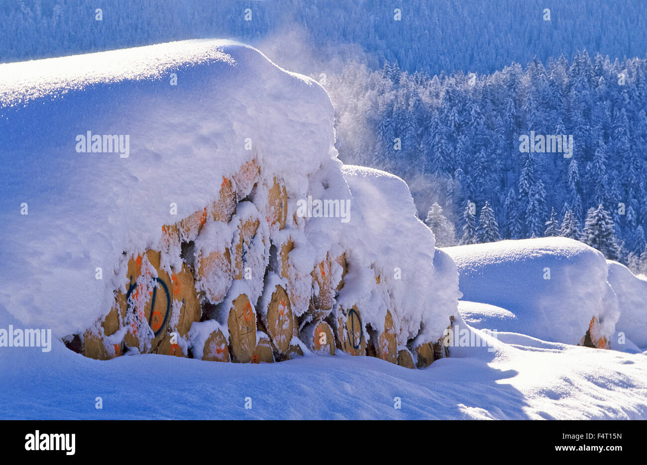 Holzganter mit Trunks in Seegatterl, Gemeinde Reit Im Winkl, Chiemgau, Oberbayern Stockfoto