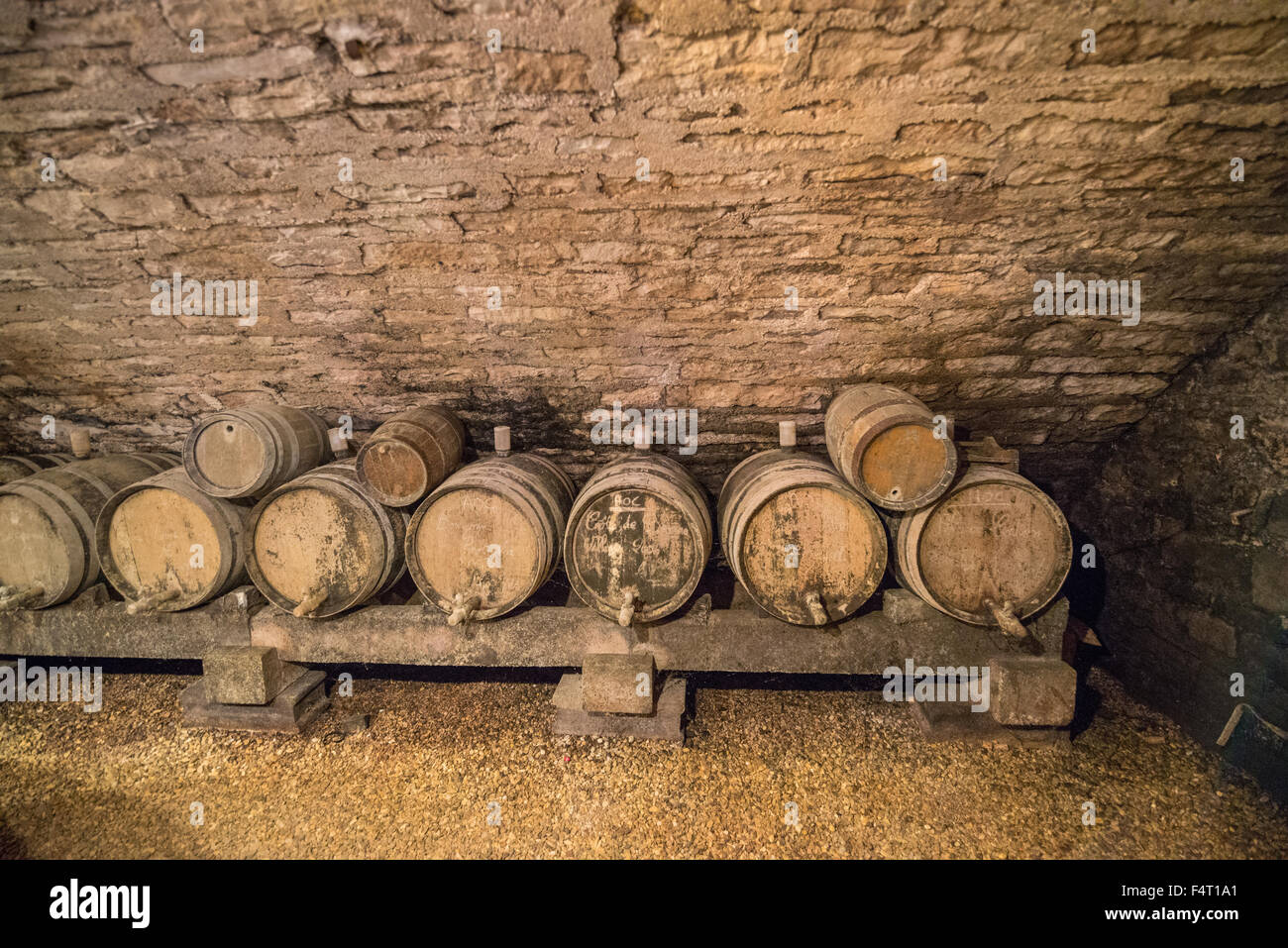 Höhle, Beaune, Burgund, Frankreich, EU, Europa Stockfoto