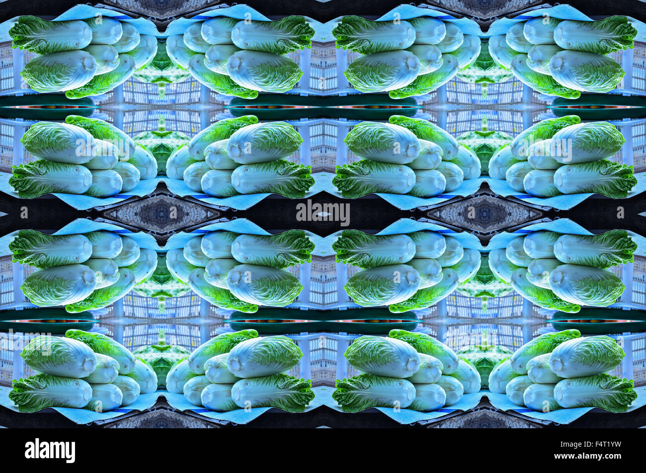 frischen Chinakohl Stockfoto